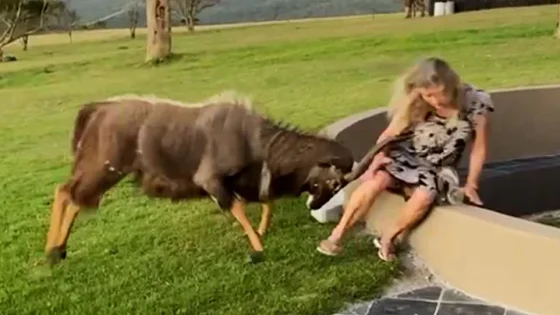 Best Fails of the Decade Hilarious Videos