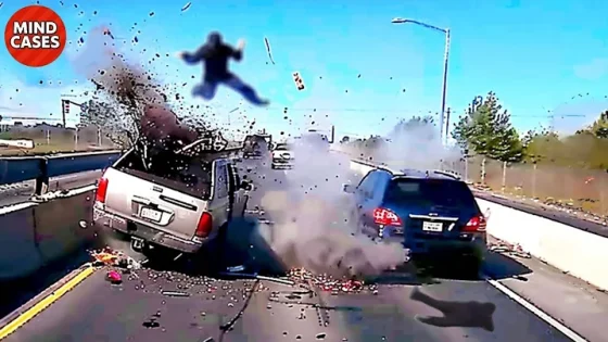 20 Minutes of Shocking Car Crashes Caused by Idiots in Cars Caught on Camera 2025