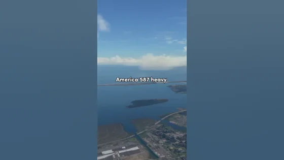 The Tragic Disaster Of American Airlines Flight 587 #aviation #travel #atc